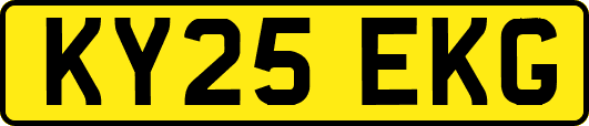 KY25EKG