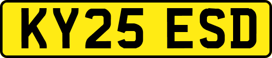 KY25ESD