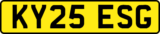 KY25ESG