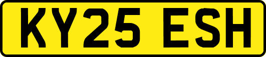 KY25ESH