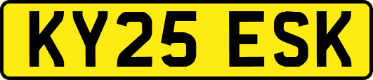 KY25ESK
