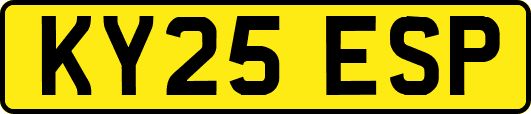 KY25ESP