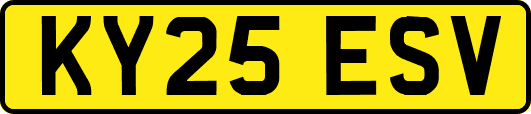 KY25ESV