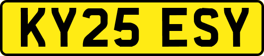 KY25ESY