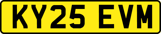 KY25EVM