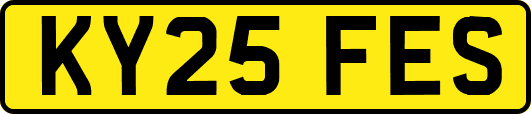 KY25FES