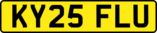 KY25FLU