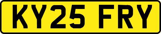 KY25FRY