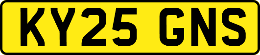 KY25GNS