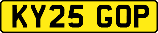 KY25GOP