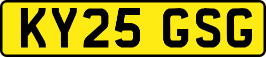 KY25GSG