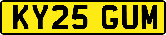 KY25GUM