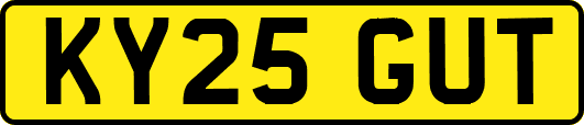 KY25GUT