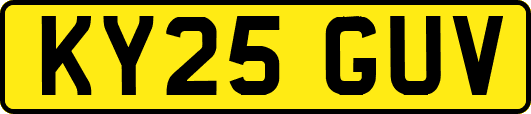 KY25GUV