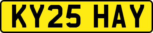 KY25HAY