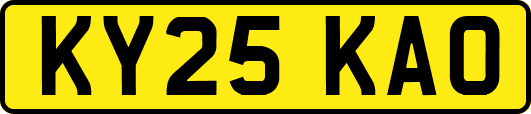 KY25KAO