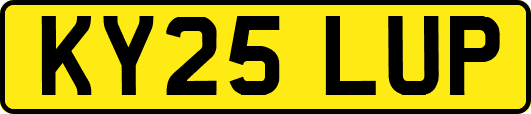 KY25LUP