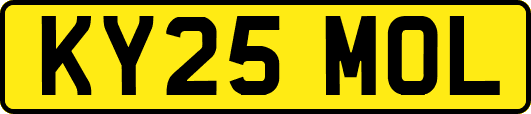 KY25MOL