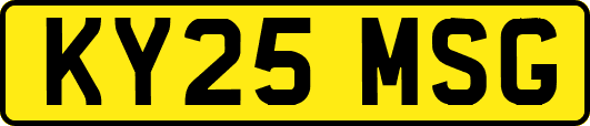 KY25MSG