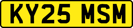 KY25MSM