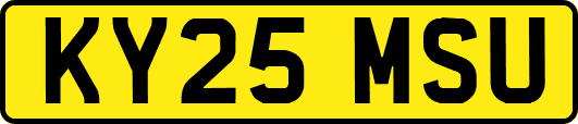 KY25MSU