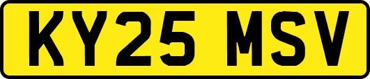 KY25MSV