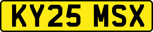 KY25MSX