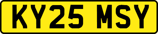 KY25MSY