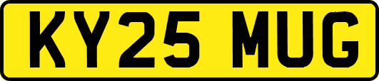 KY25MUG