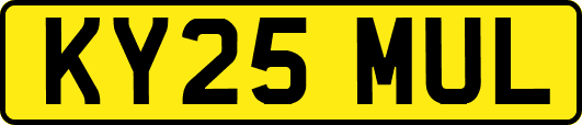 KY25MUL