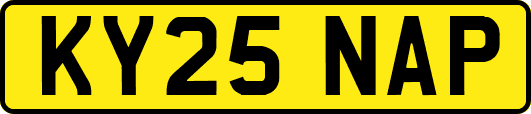 KY25NAP