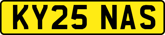 KY25NAS