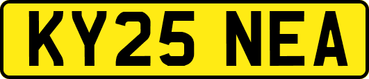 KY25NEA