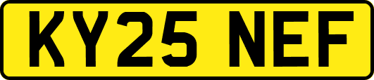 KY25NEF