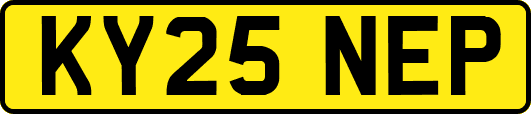 KY25NEP
