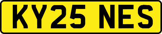 KY25NES