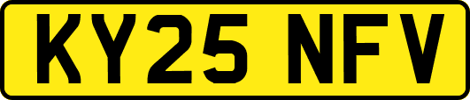 KY25NFV
