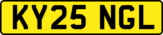 KY25NGL