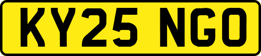 KY25NGO