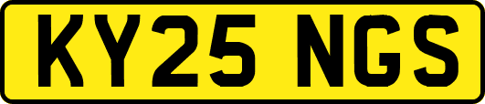 KY25NGS