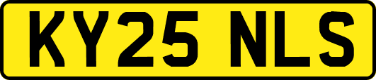 KY25NLS