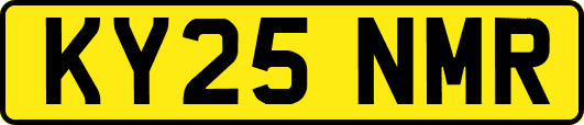 KY25NMR