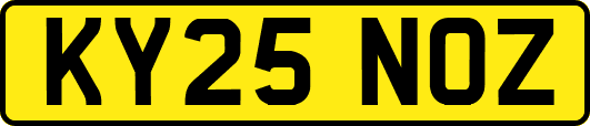 KY25NOZ