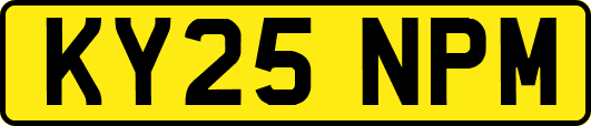 KY25NPM
