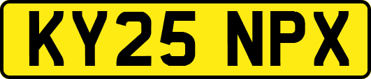 KY25NPX