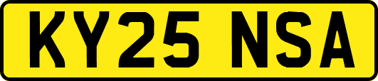 KY25NSA