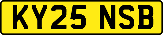 KY25NSB