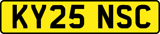 KY25NSC