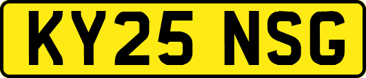 KY25NSG