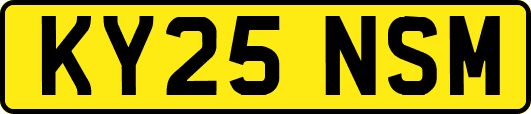KY25NSM
